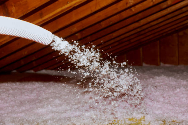 Best Cellulose Insulation in Clarcona, FL