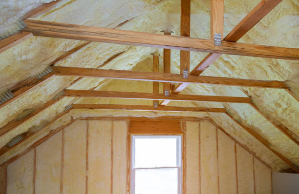 Best Fiberglass Insulation in Clarcona, FL
