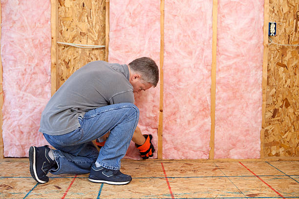 Types of Insulation We Offer in Clarcona, FL