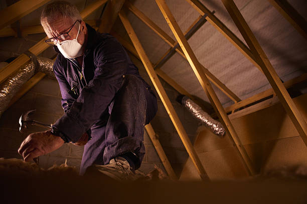 Best Specialized Insulation Services in Clarcona, FL